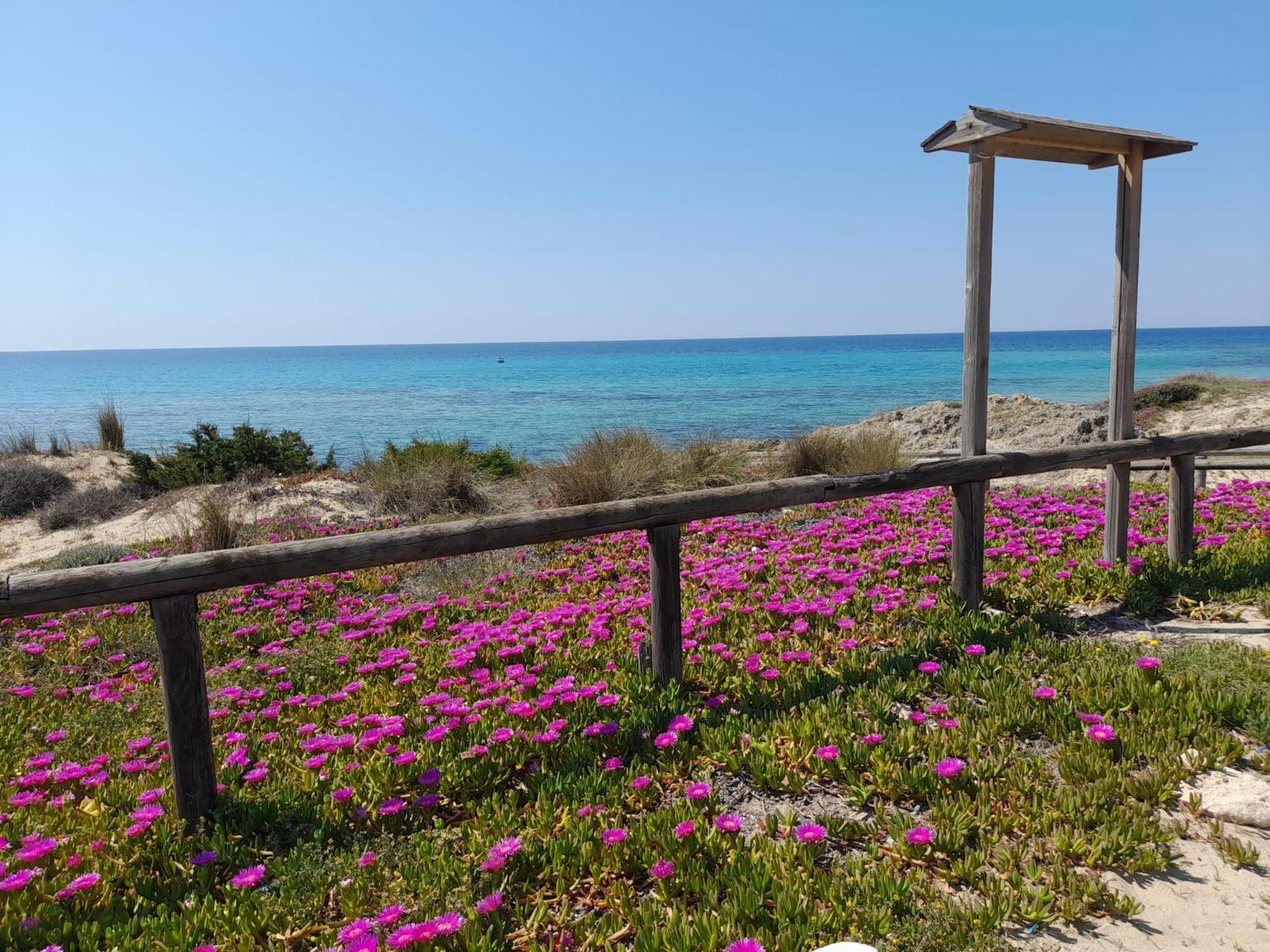 Salento 2 Морчано-ди-Леука